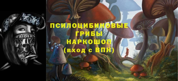 гашик Богданович